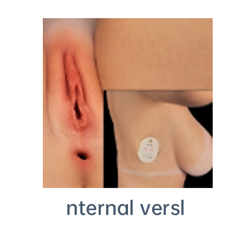Vagina Automatic Clamp & Suck (internal）