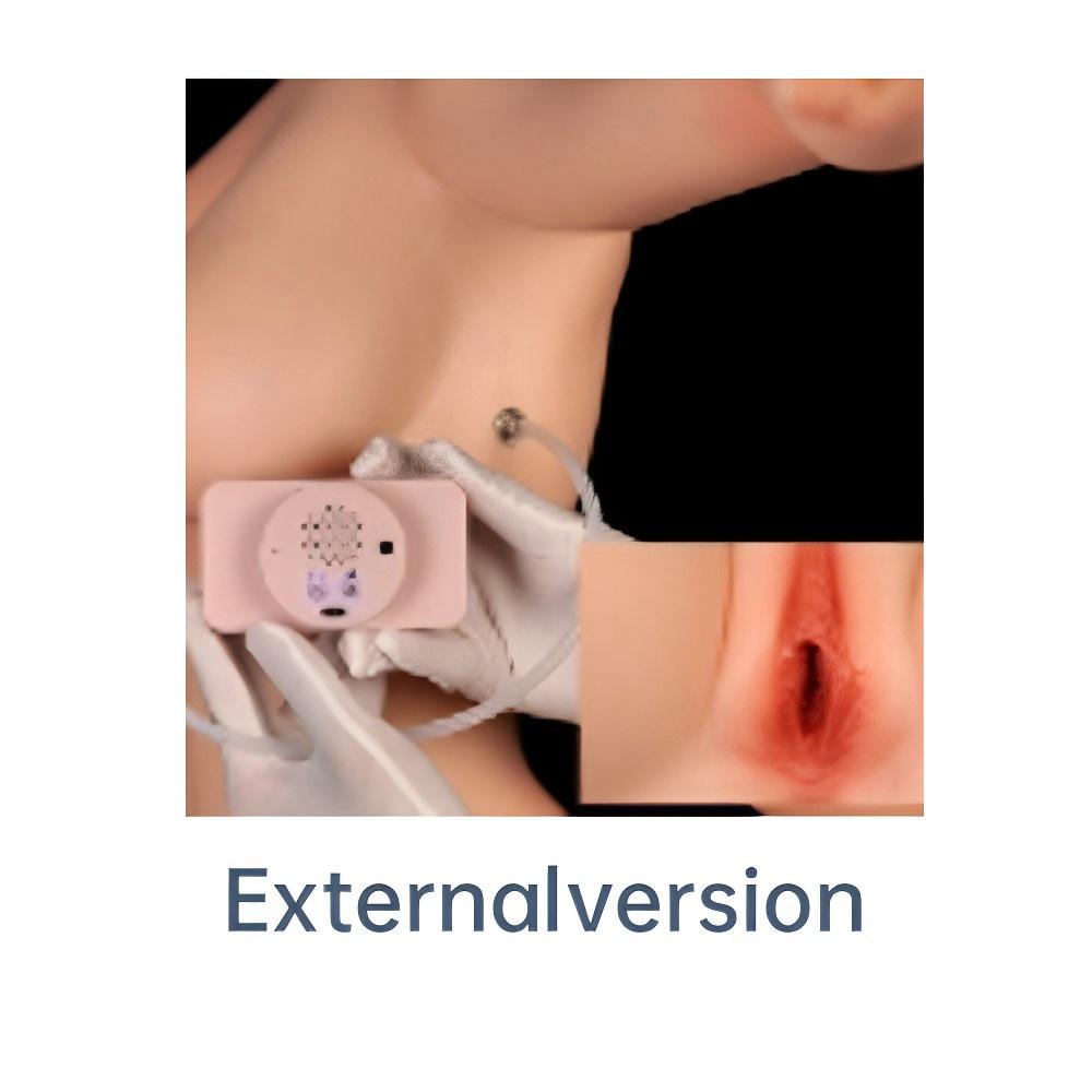 Vagina Automatic Clamp & Suck (external)