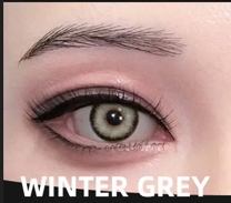Winter Gray
